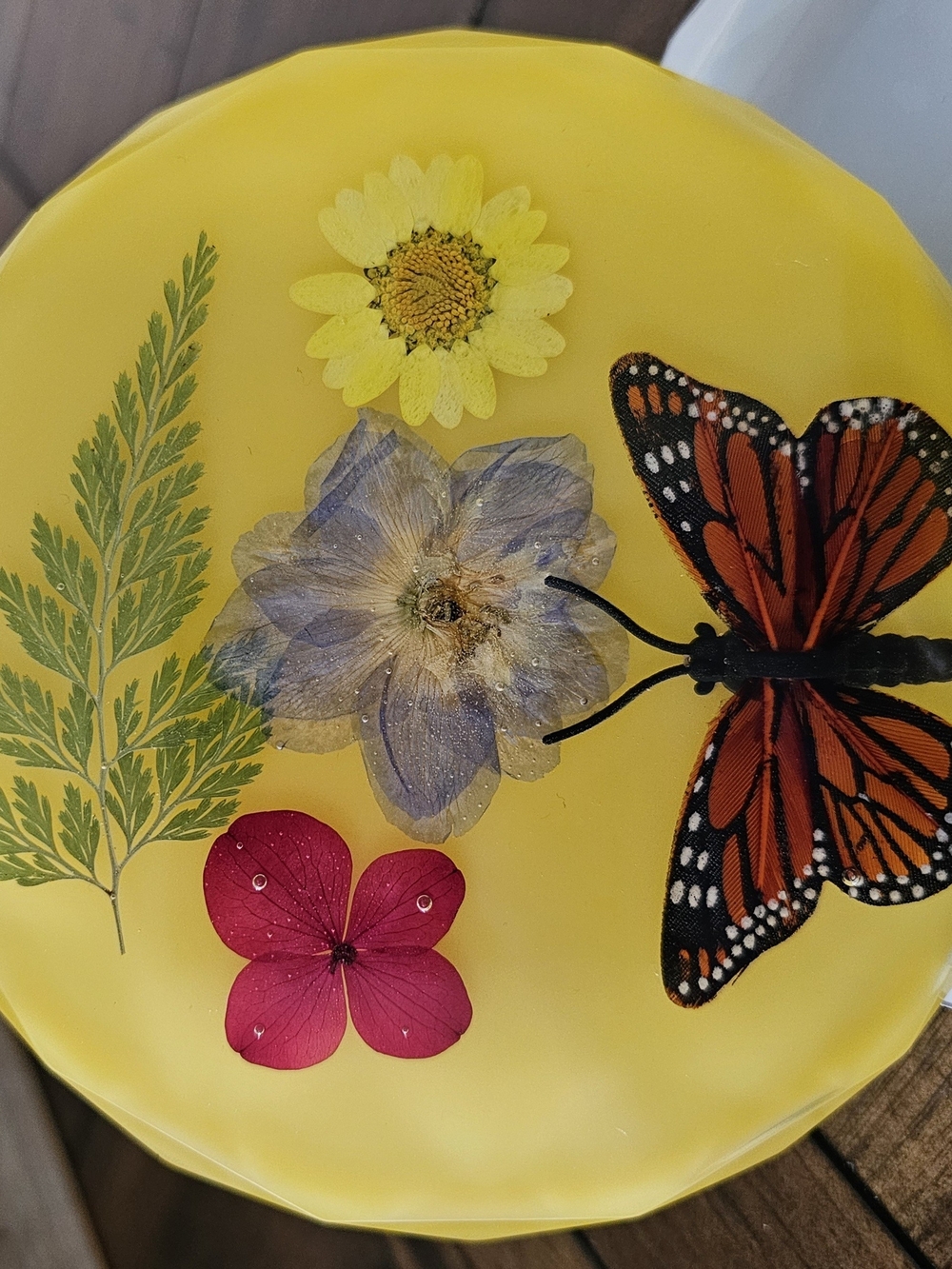 Botanical Butterfly Resin Coasters- Yellow